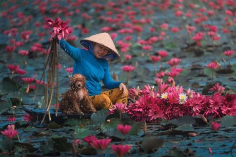 Những Cơn Mưa Bất Chợt Ở Cheras