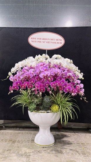 Các mẫu hoa tác phẩm sang trọng